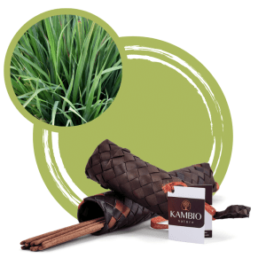 Traditional Khmer Incense | Lemongrass | Kambio Nature
