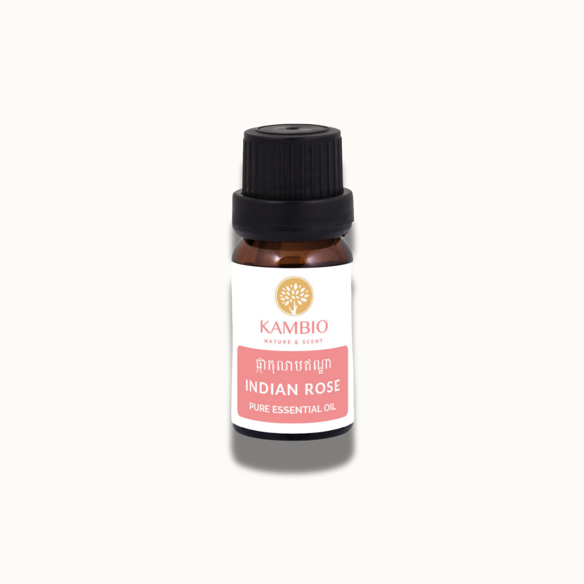 Indian rose essential oil kambio nature in bottle 10ml