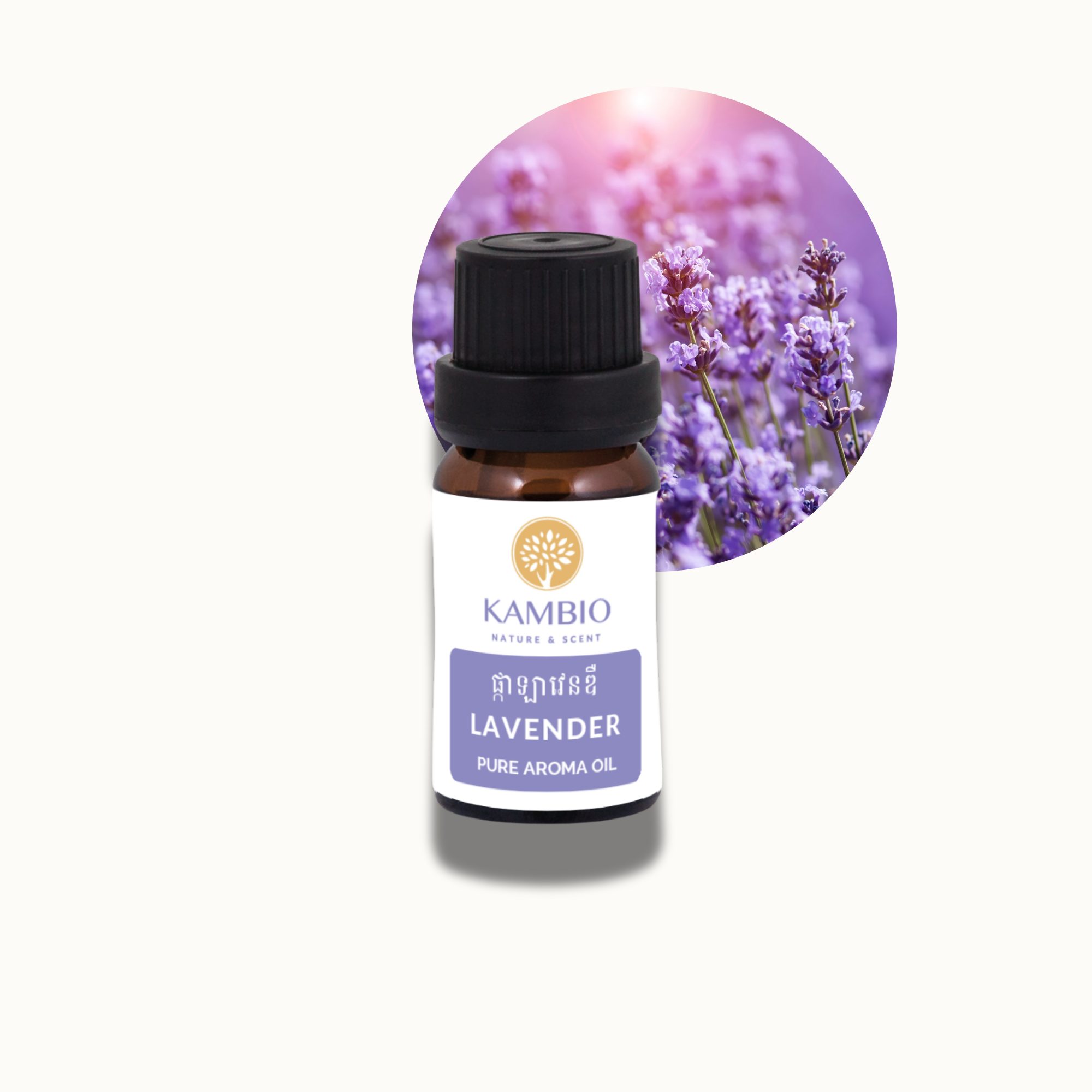 lavender aroma oil - natural fragrance oil - 10ml - kambio nature